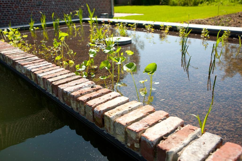 B&B De Deugdzonde Sint-Denijs Ngoại thất bức ảnh