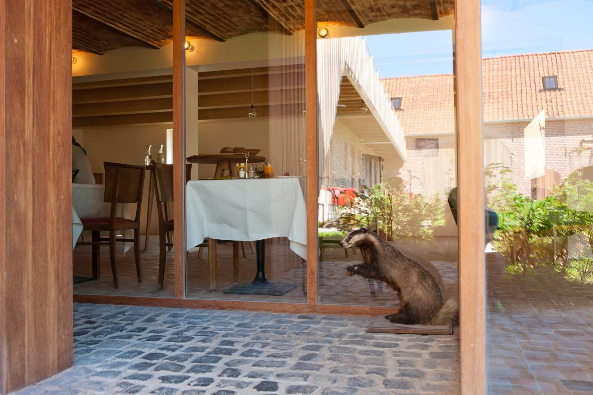 B&B De Deugdzonde Sint-Denijs Ngoại thất bức ảnh